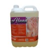 Gel Manos Eco Hand 5 L. - Proveedor Lavandería Industrial